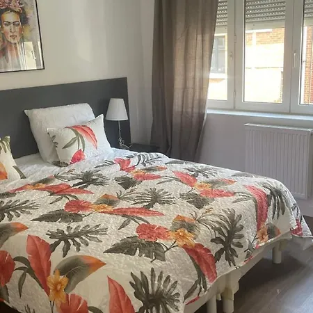 Lady Cosmopolite אראס