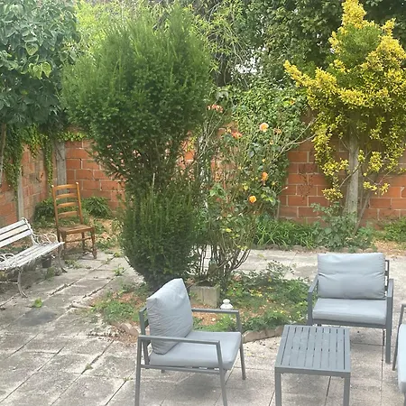 Lady Cosmopolite אראס